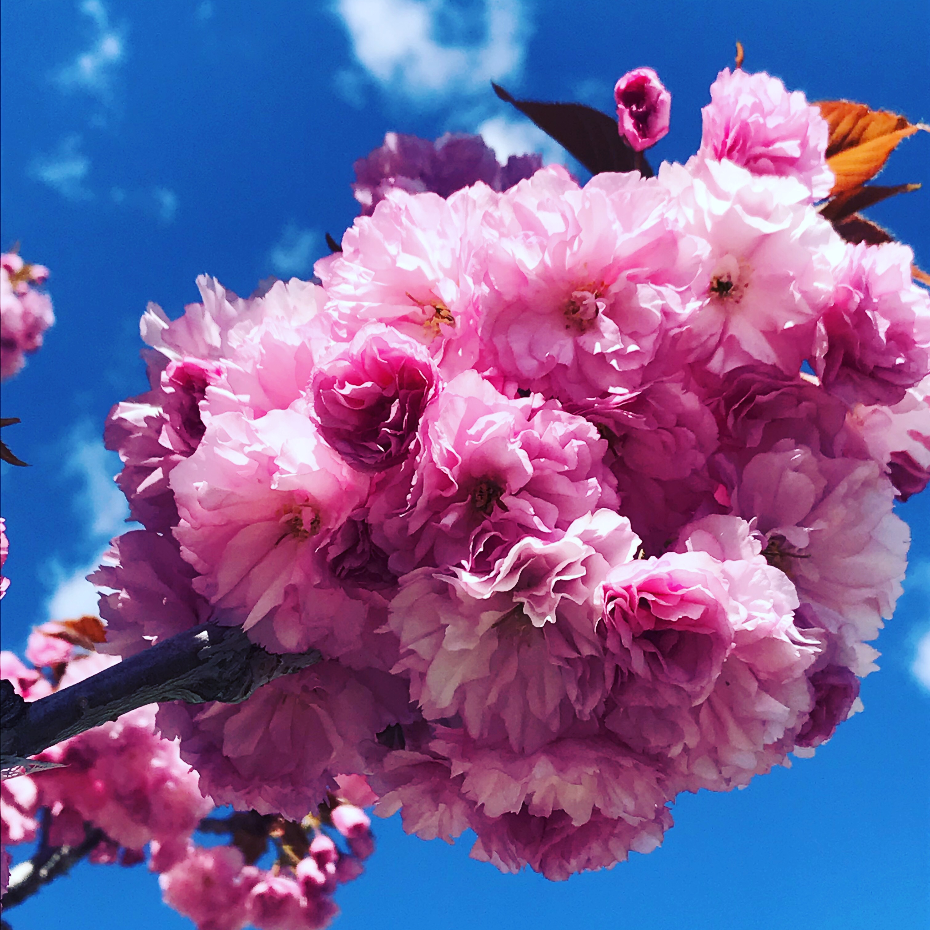 835743AA-B102-475A-B6FA-EAF468F12529