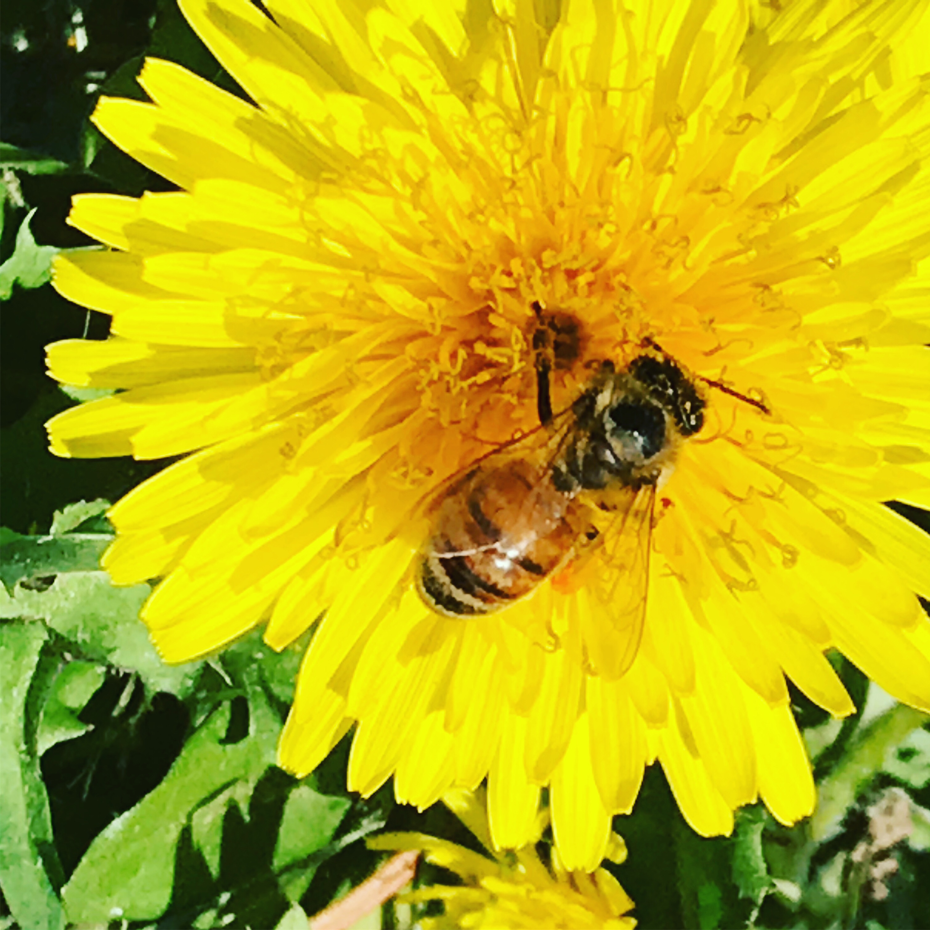 9961CD95-7CB7-491C-A809-F7C1B164101E