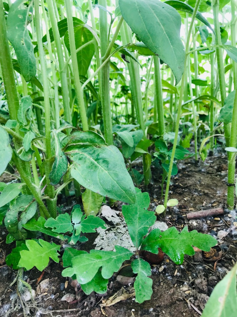 B18D3CFE-F953-4095-9653-87B2ABC4EF8F