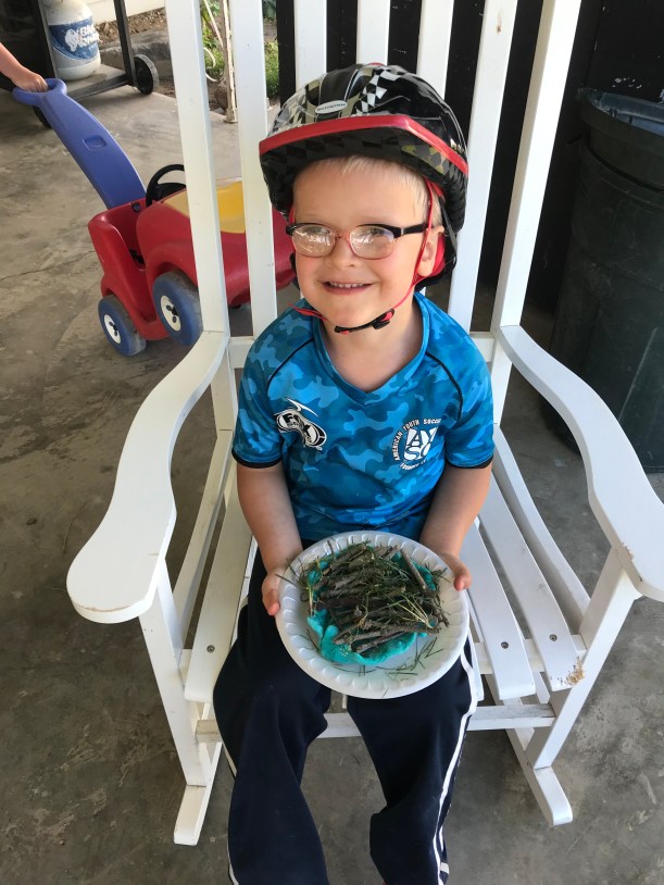 94079B04-50BF-4F45-8FCC-F68ADA121C9E