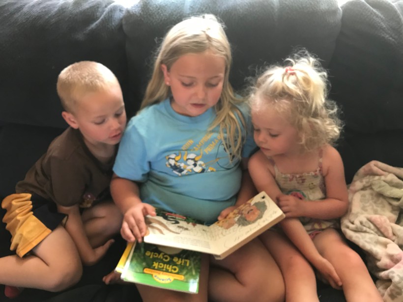 E4C6593C-AAB6-4624-80CC-CB314B6FFEFE