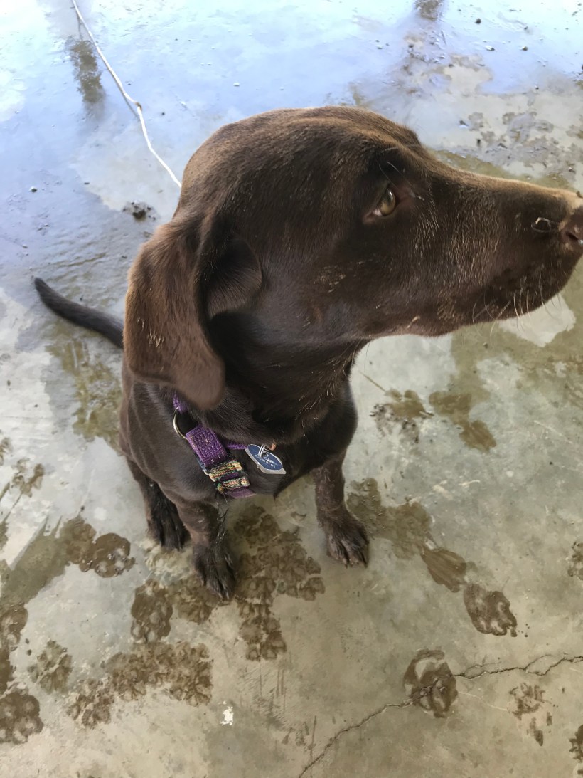 0CEB308B-B713-4FEC-8C66-A44B7C43DCE3