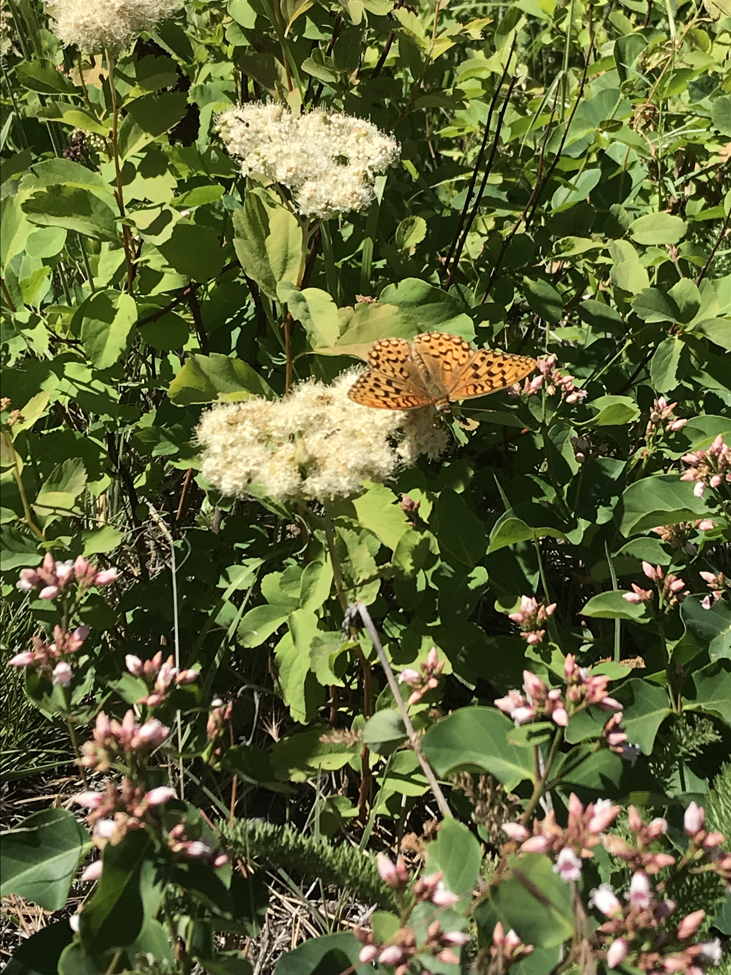 166C1FF0-1F0D-4479-8CFC-8D79FA41BC1C