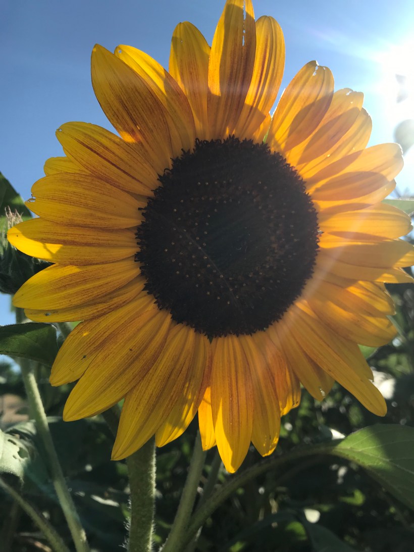 21DBB6F6-06E2-4183-AA2E-EAF3CC013D3A