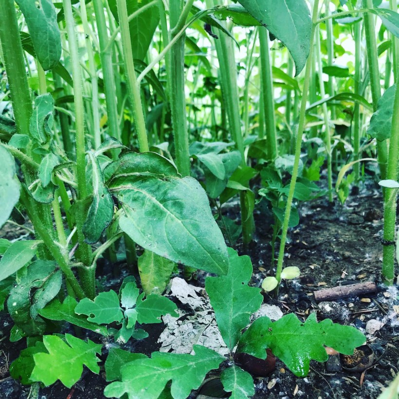 2CA3BD45-92FC-47CA-9E9D-89B4B4C8CFF5