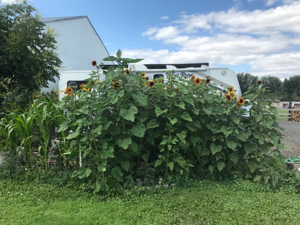 77CA9B08-4DE2-49B6-B4B1-F96273756D76