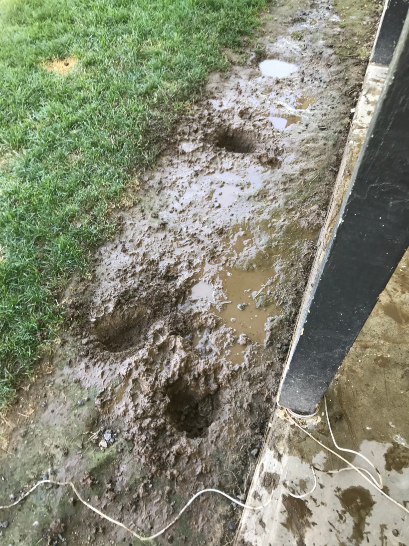 A035C6B6-95D4-4F0E-938B-12A58976B9B6