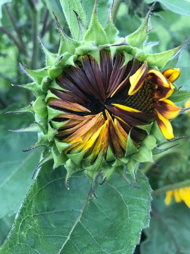 A042F03F-8DCC-4A45-BACE-47429F646508