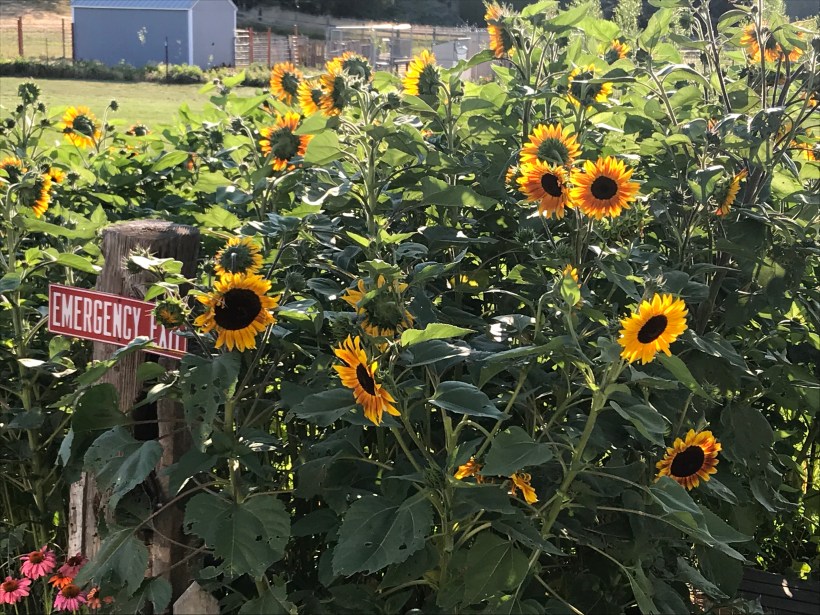 A9B91C7D-E5C7-45E6-B866-88699D4AB129