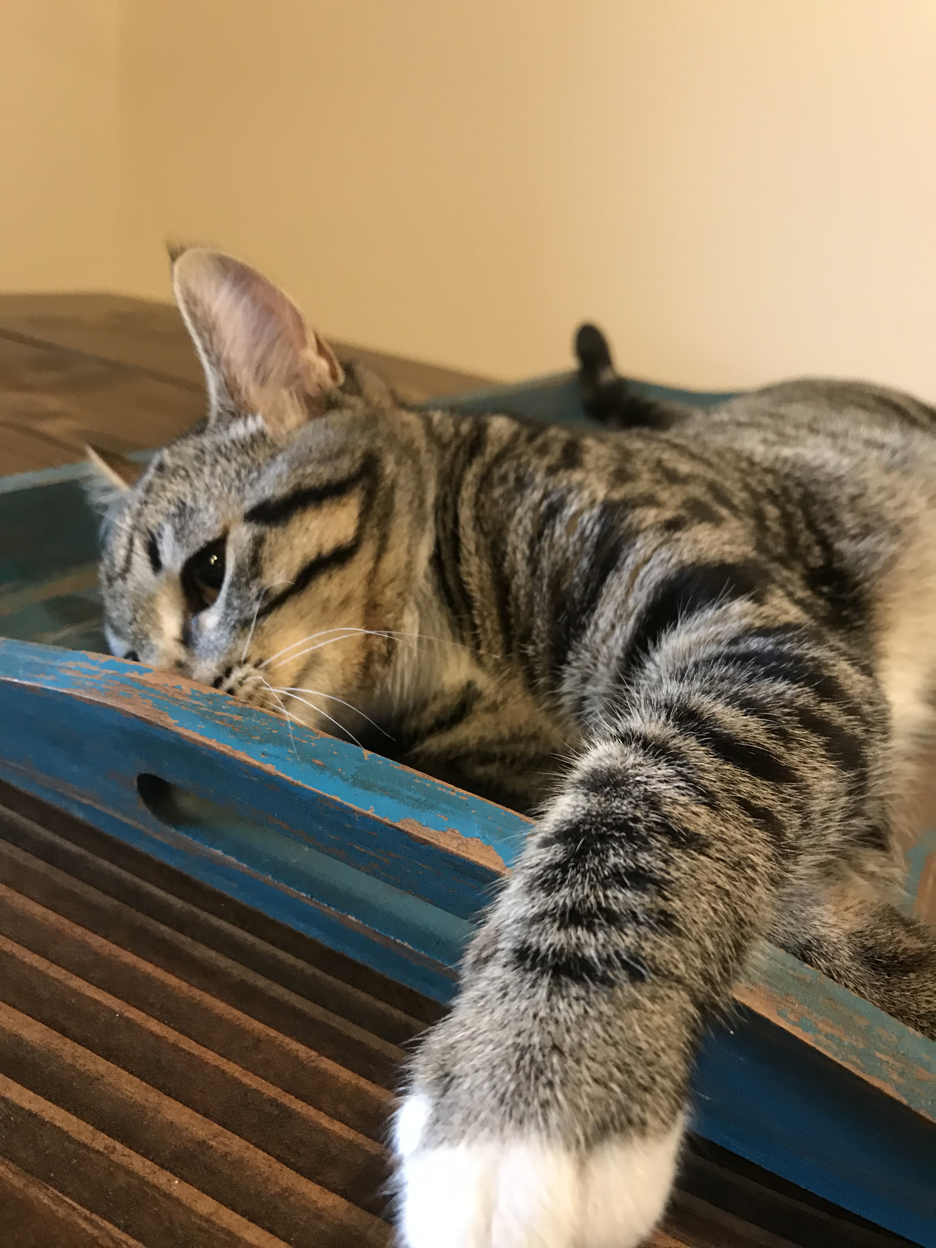 B7C5B0D6-88DA-4013-B99B-29951B621299