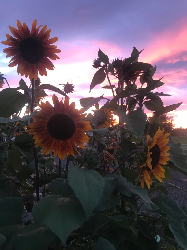 D076BB34-79A4-4302-A8B3-D0B199FE379C