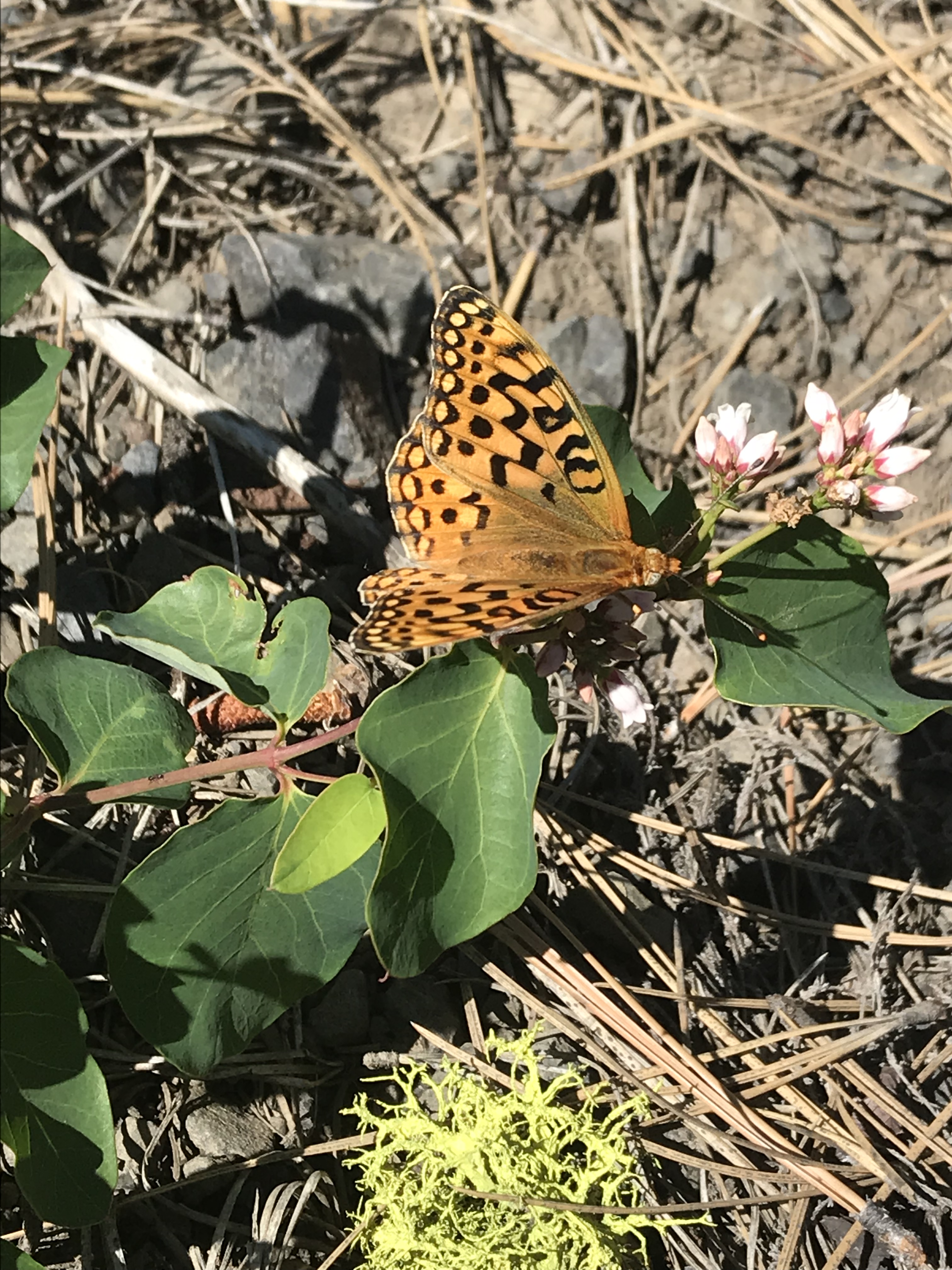 D4B47F7E-BCFE-4604-8F45-A50F04BE3182