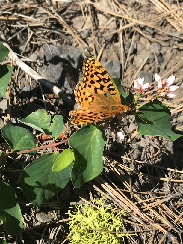 D4B47F7E-BCFE-4604-8F45-A50F04BE3182