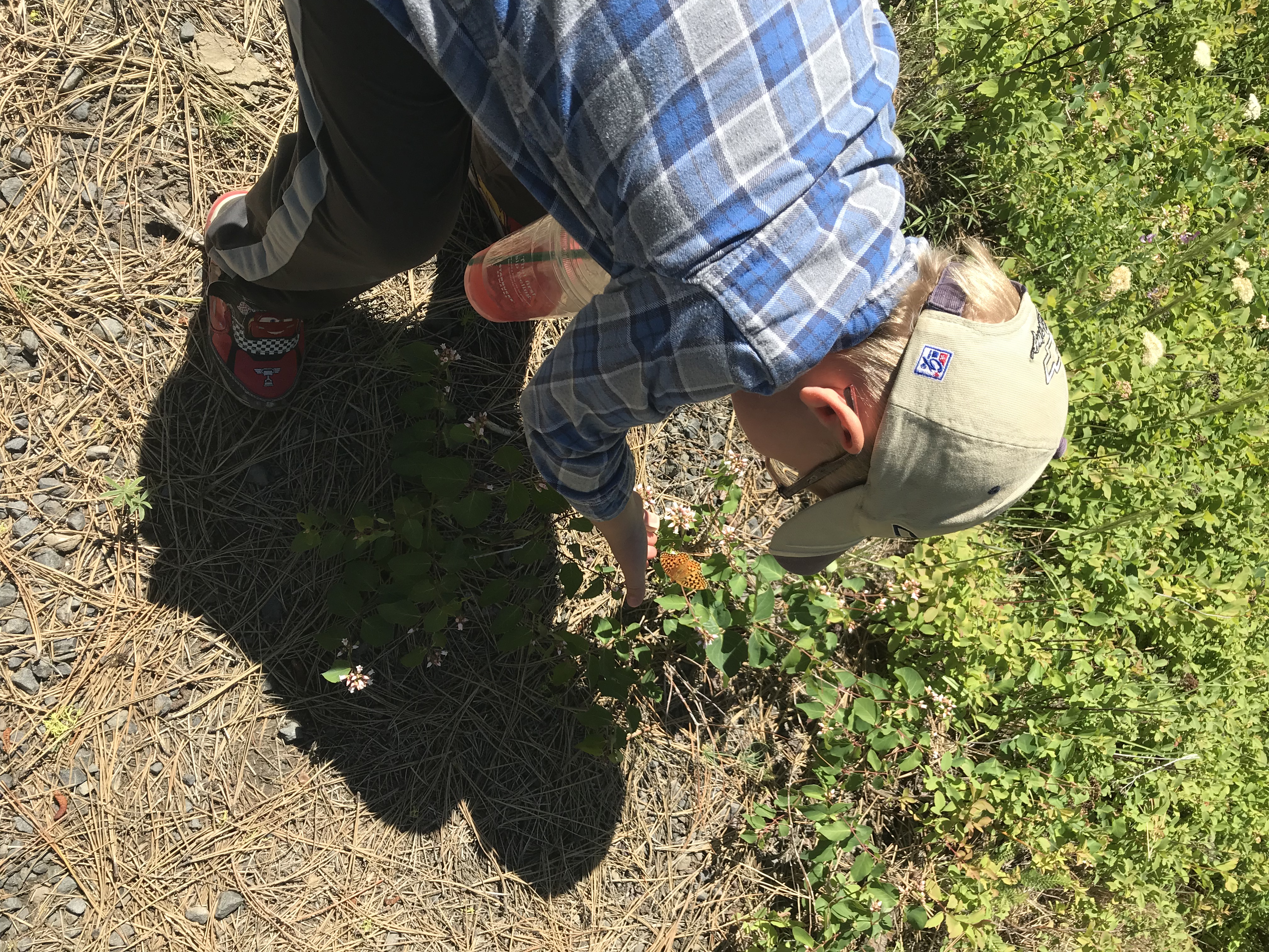 D573B17E-02A4-46B2-857A-5F45430633D5