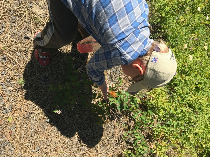 D573B17E-02A4-46B2-857A-5F45430633D5