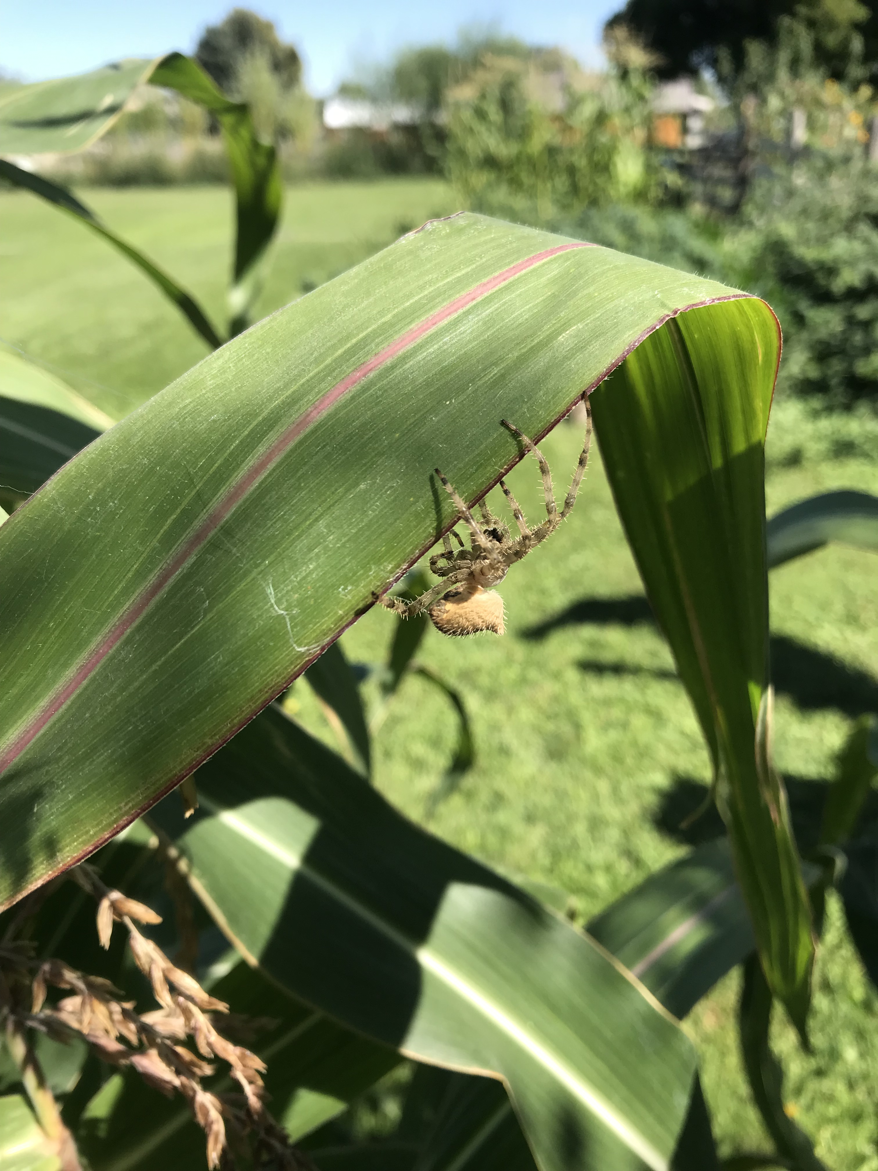 1F0ED72F-2BDF-4091-B711-EB060DE87737