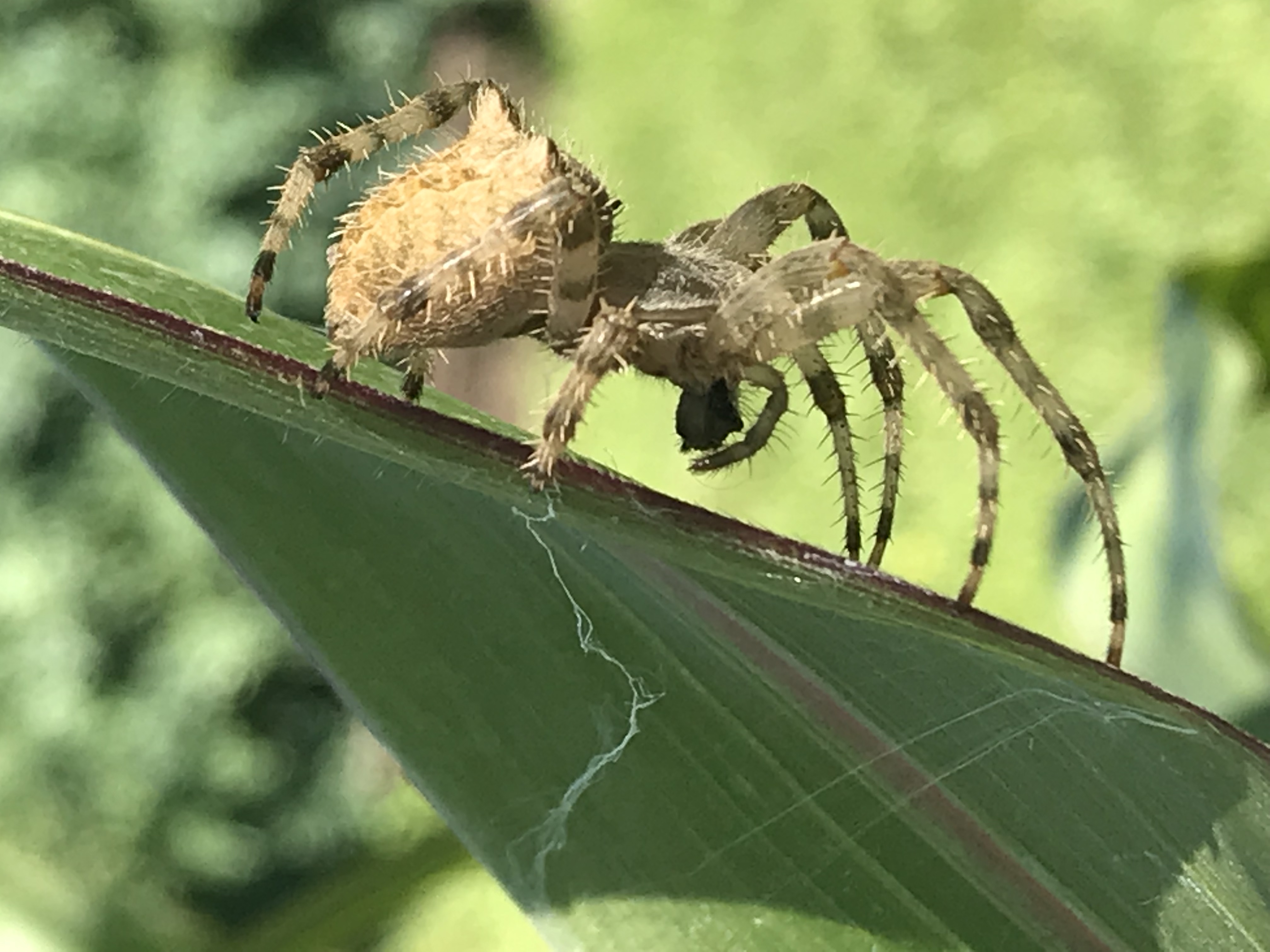 34498DE4-DB5F-49D7-BC3B-77A3A5E819B9