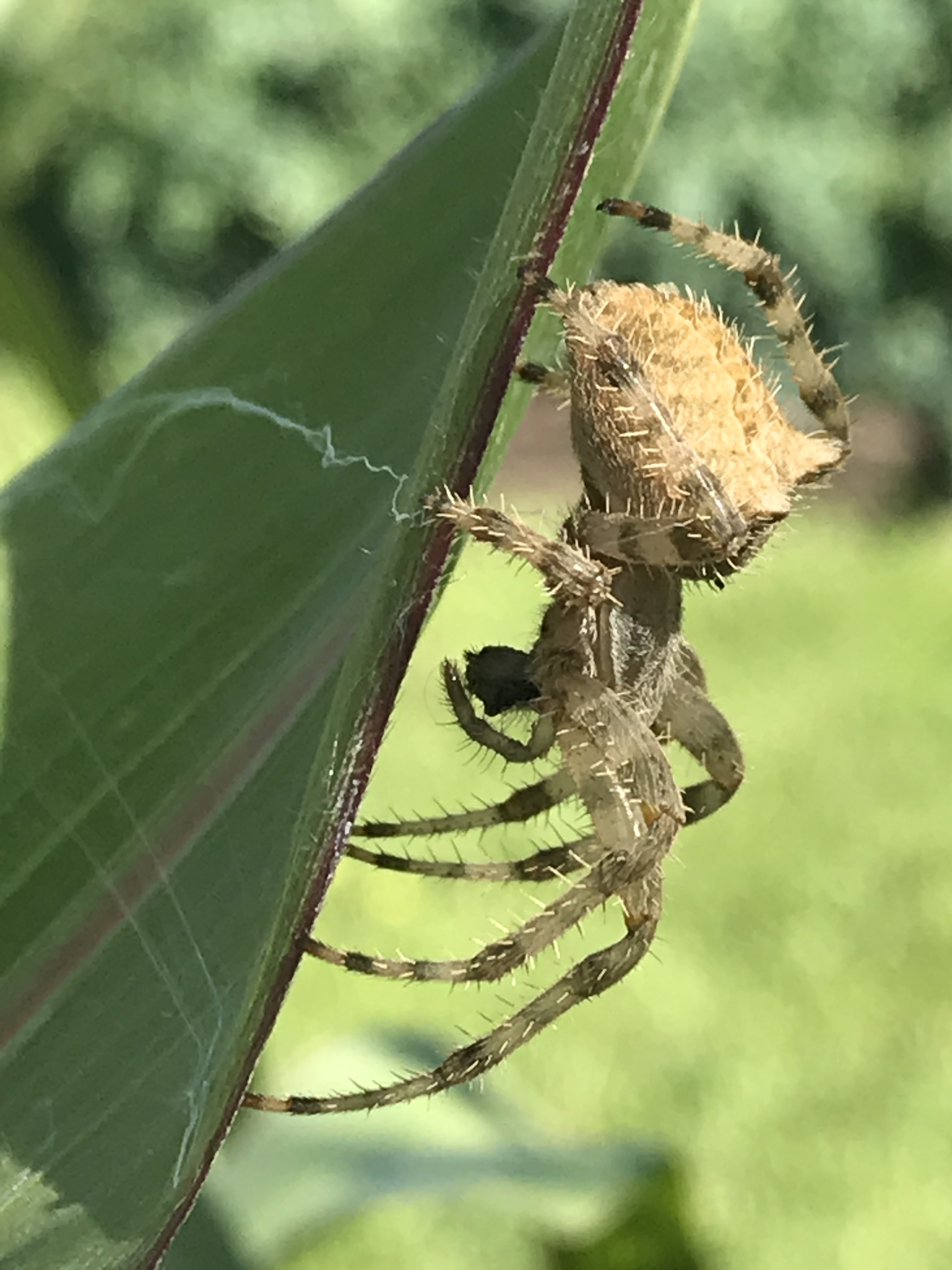 3EA0756D-90A8-4AC5-9BAF-166CDE591BF5