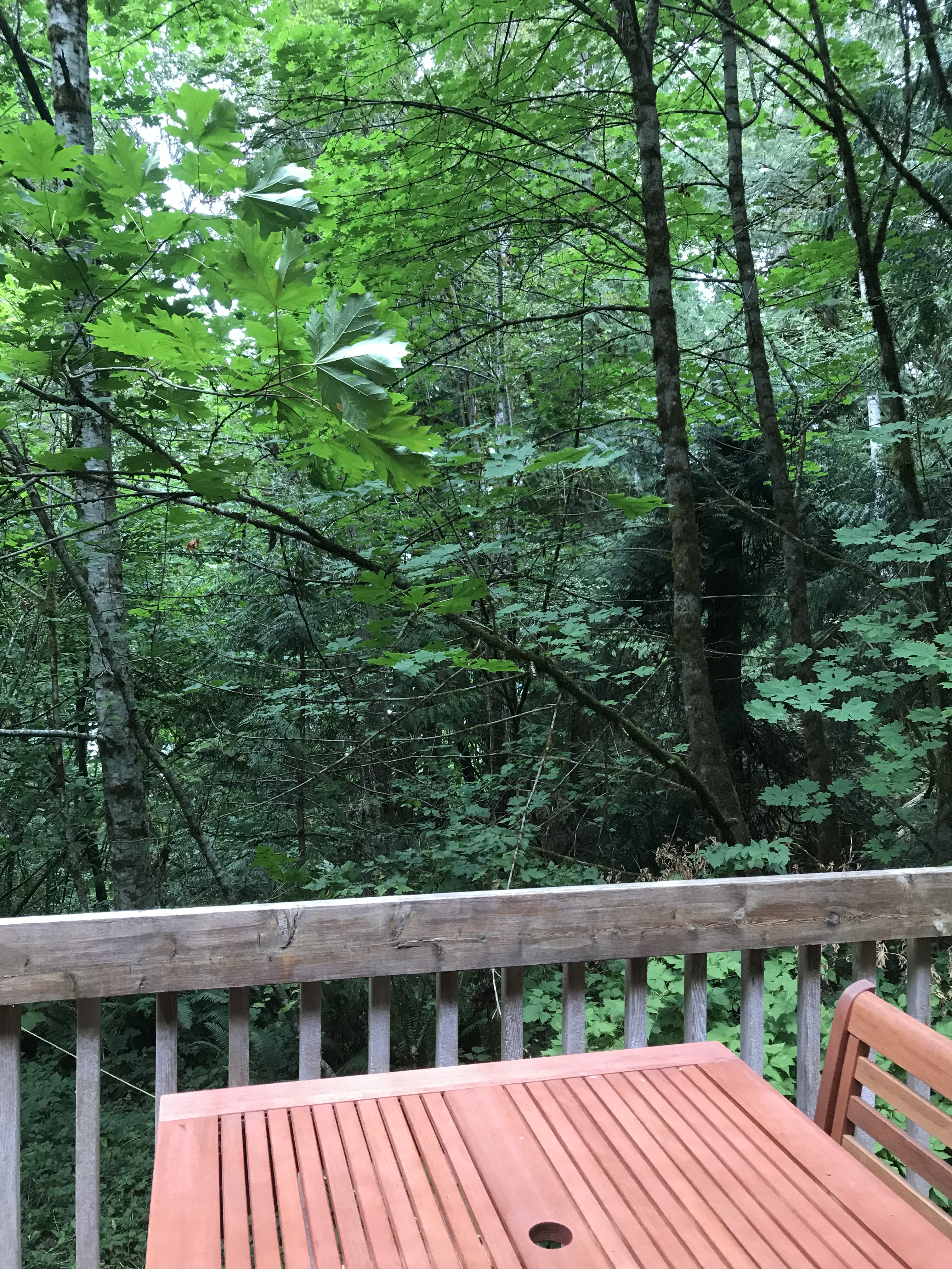 7109BB5D-9B4A-4756-A923-4E987F6B2AB0