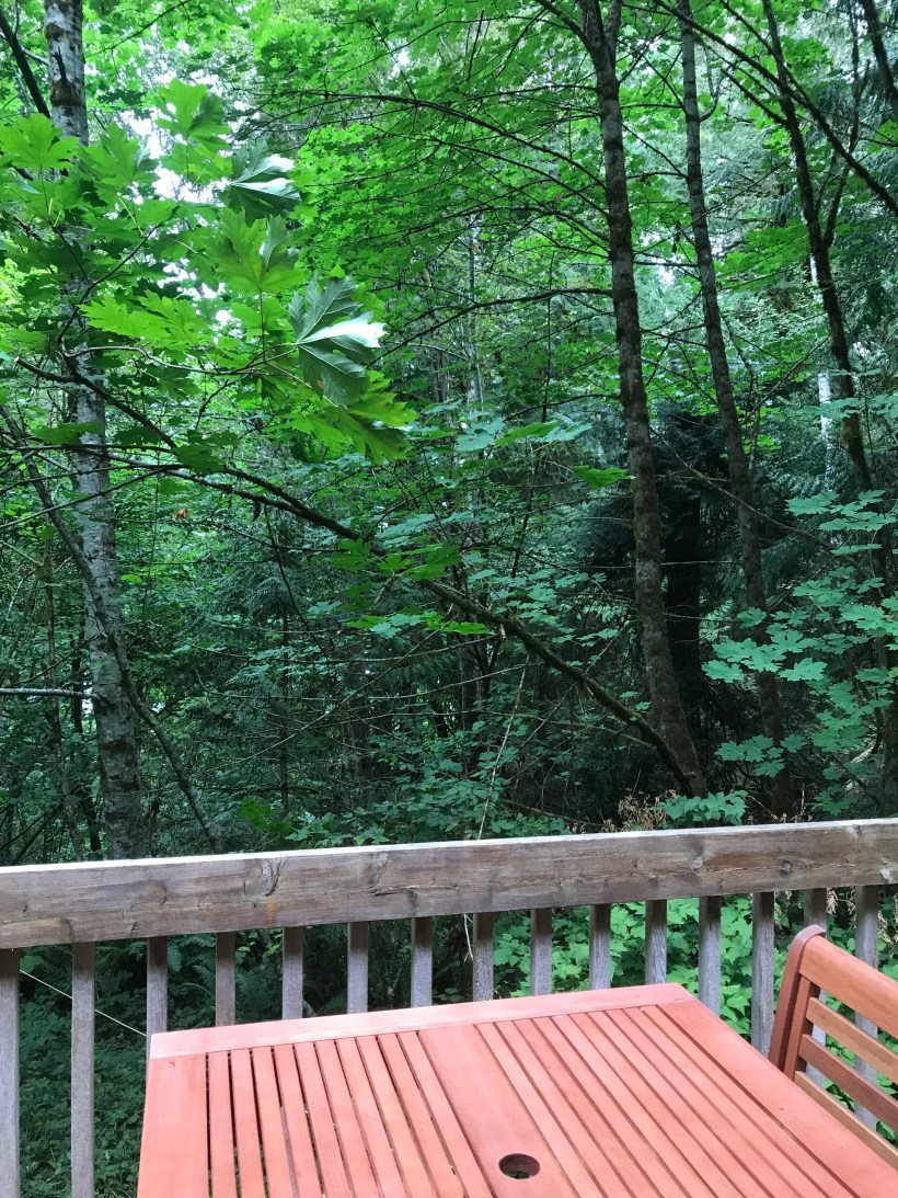 7109BB5D-9B4A-4756-A923-4E987F6B2AB0