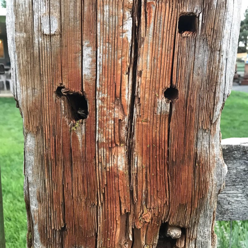 A0FDC3DB-8589-4ECA-A069-FD5FE7BD8DA3