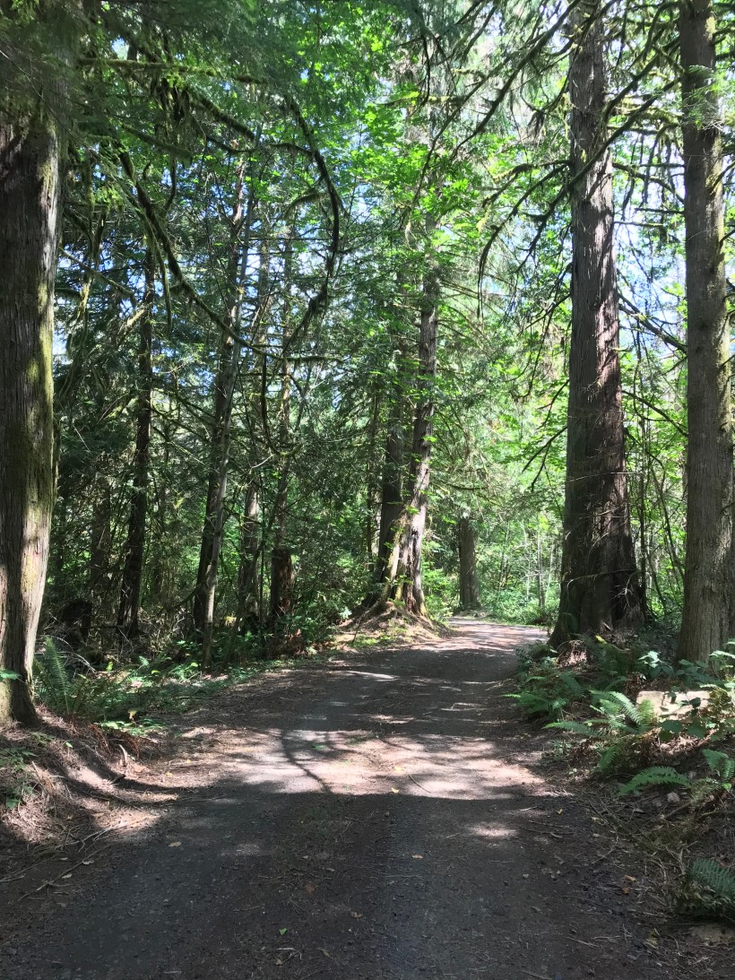 C9257AB0-9DD3-4EAB-A27D-F4DE16285C0C