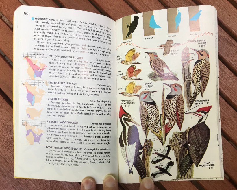 DA458401-3862-447F-BBF8-EBE11C38BAF2