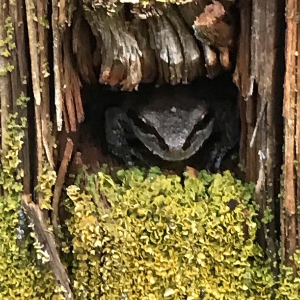 DDCCB7AE-FDCD-42AE-9FE4-819A2A3EDF99