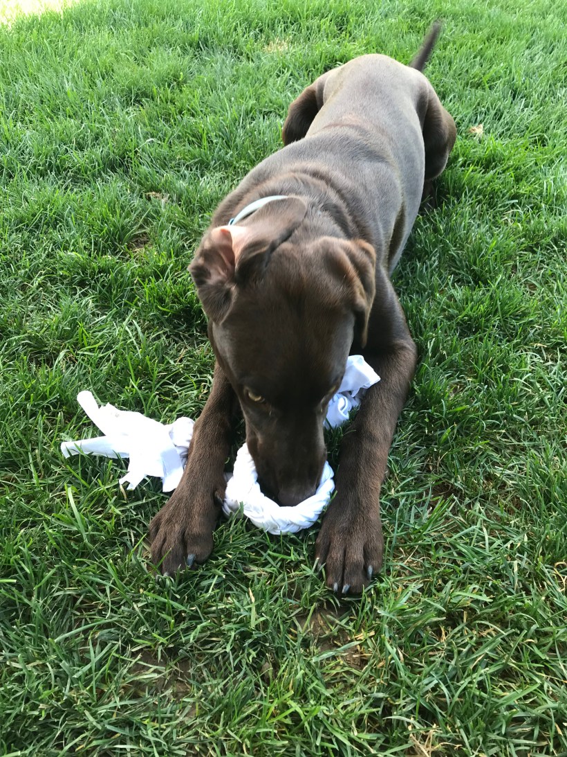 D0FDC740-CE8C-4450-8364-677CEED8317D