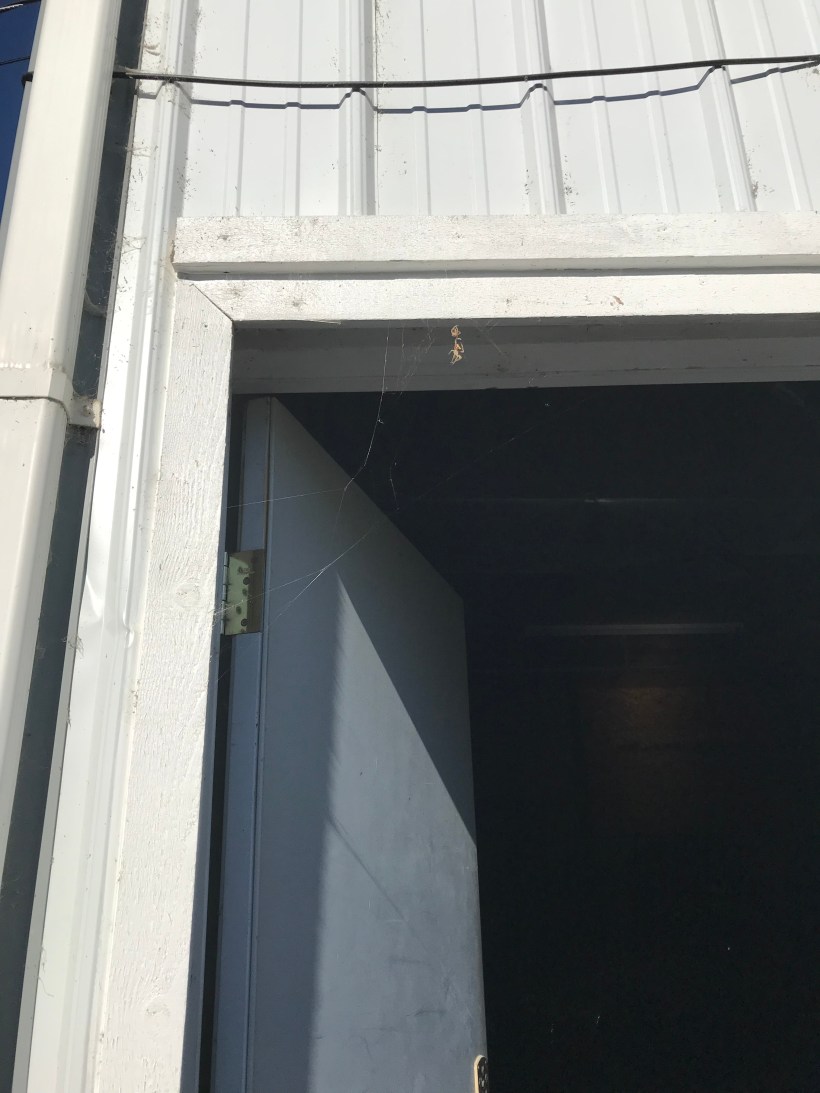 E11AA94A-0831-4A38-85B6-339BB68B01CD