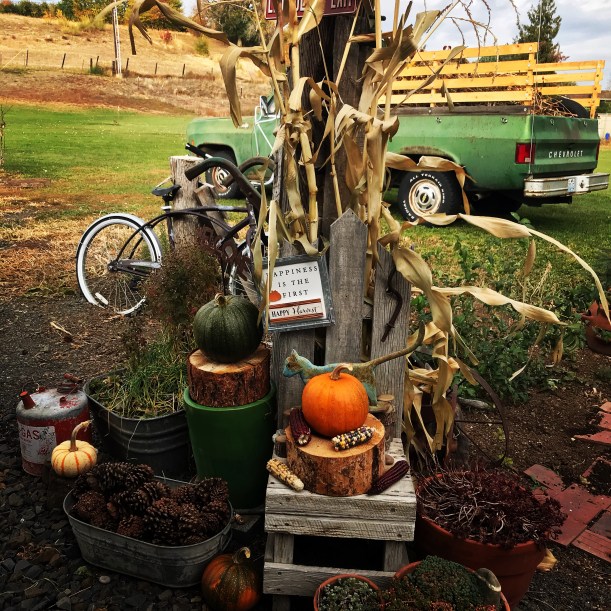 31B41C9B-5808-4606-B874-7C760C9E1137