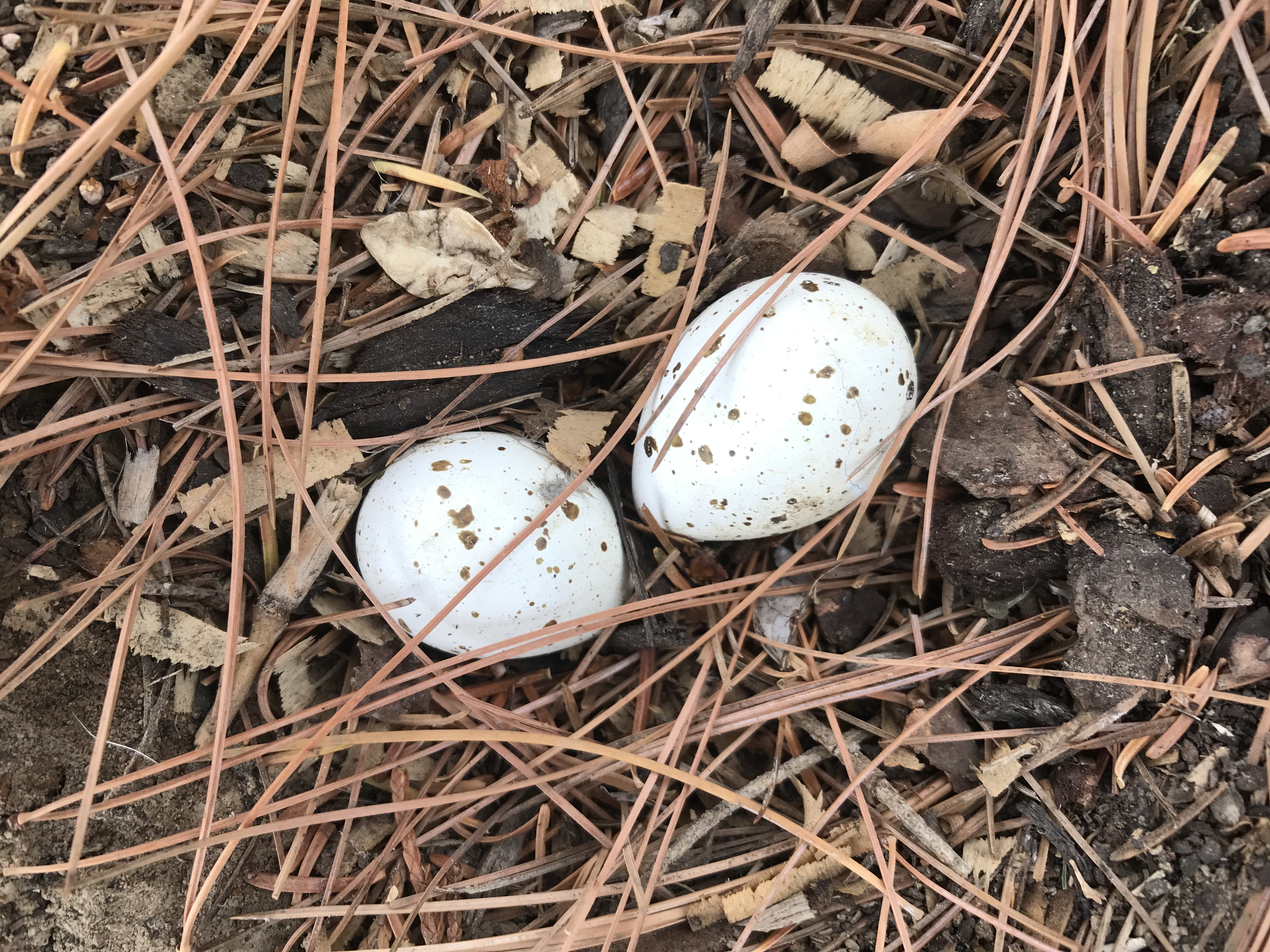 337FB312-7D41-4966-9A00-96E988C5B061