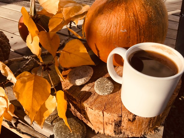 7C67B650-625B-4341-A3D2-AD1A8EA980CC