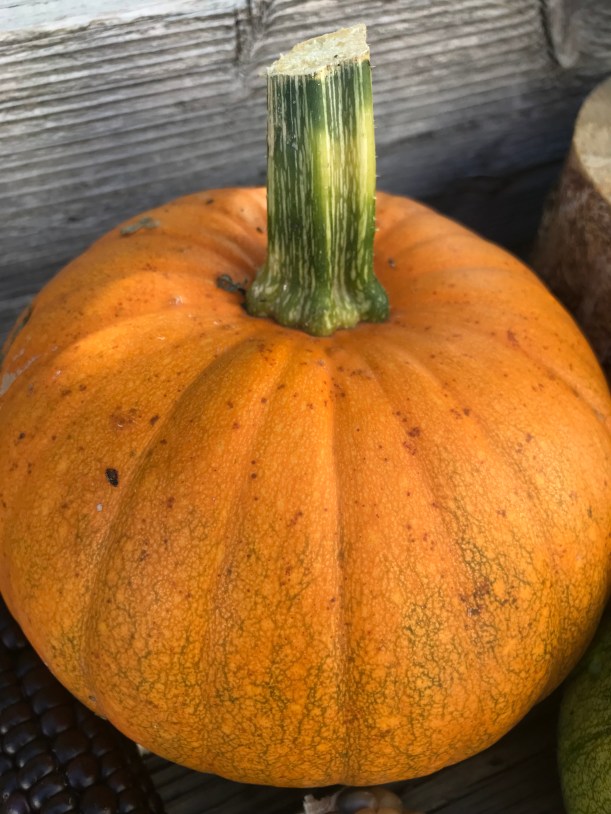 EE563B23-1EF4-44D8-8028-D19A742ED876