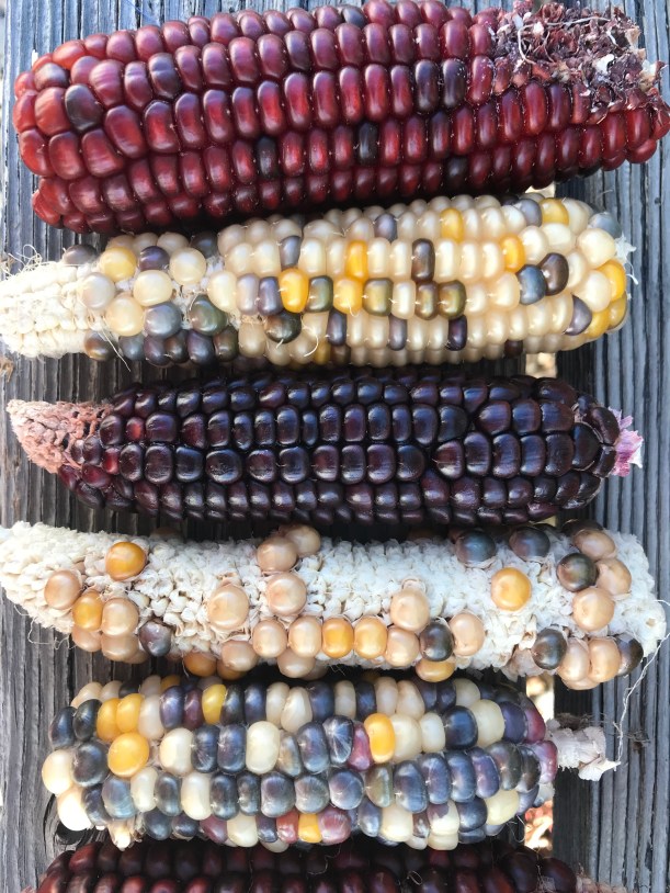 F605A002-72AF-44A0-A972-56FBFAEE2F2B