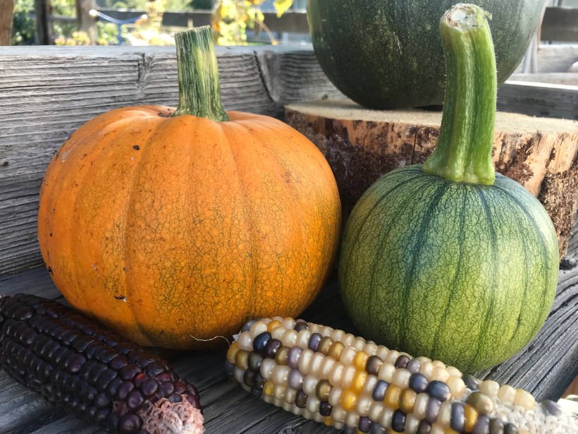 5D9429D8-5AB7-4D9D-BBBA-911939AB9DA1