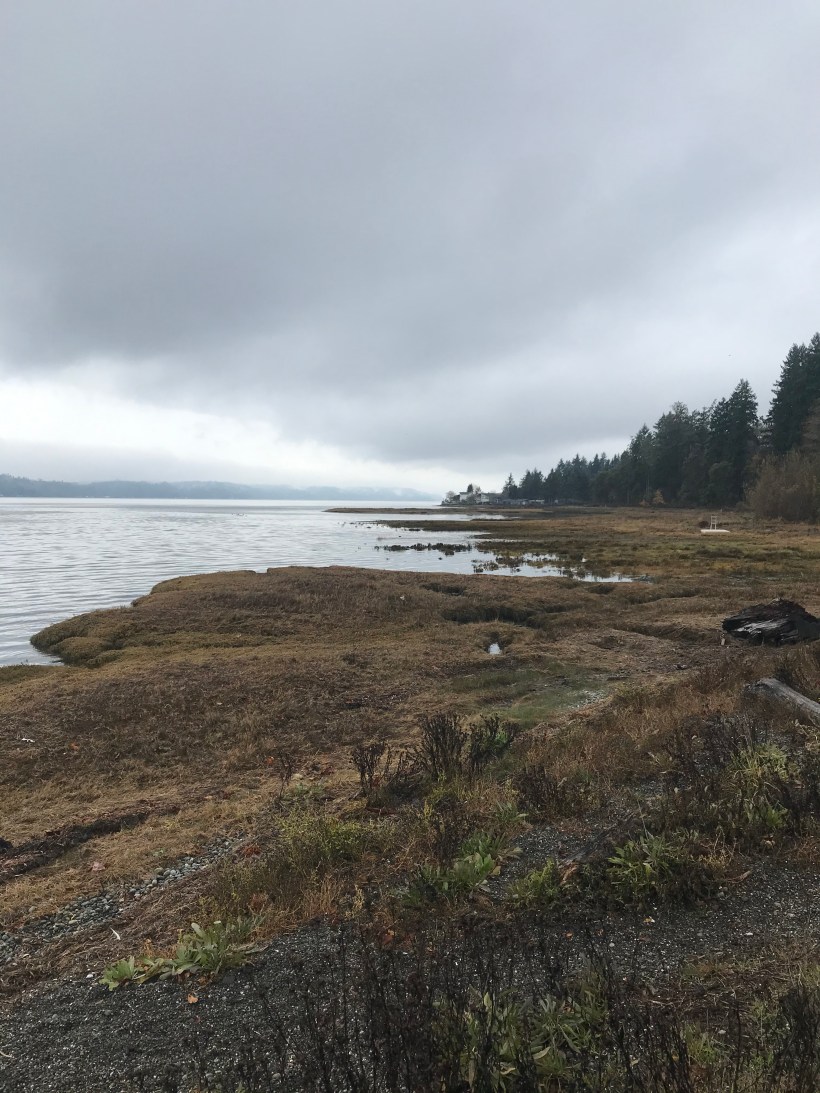 AF2036FB-C1EA-4DAB-BEFF-112DC7601914