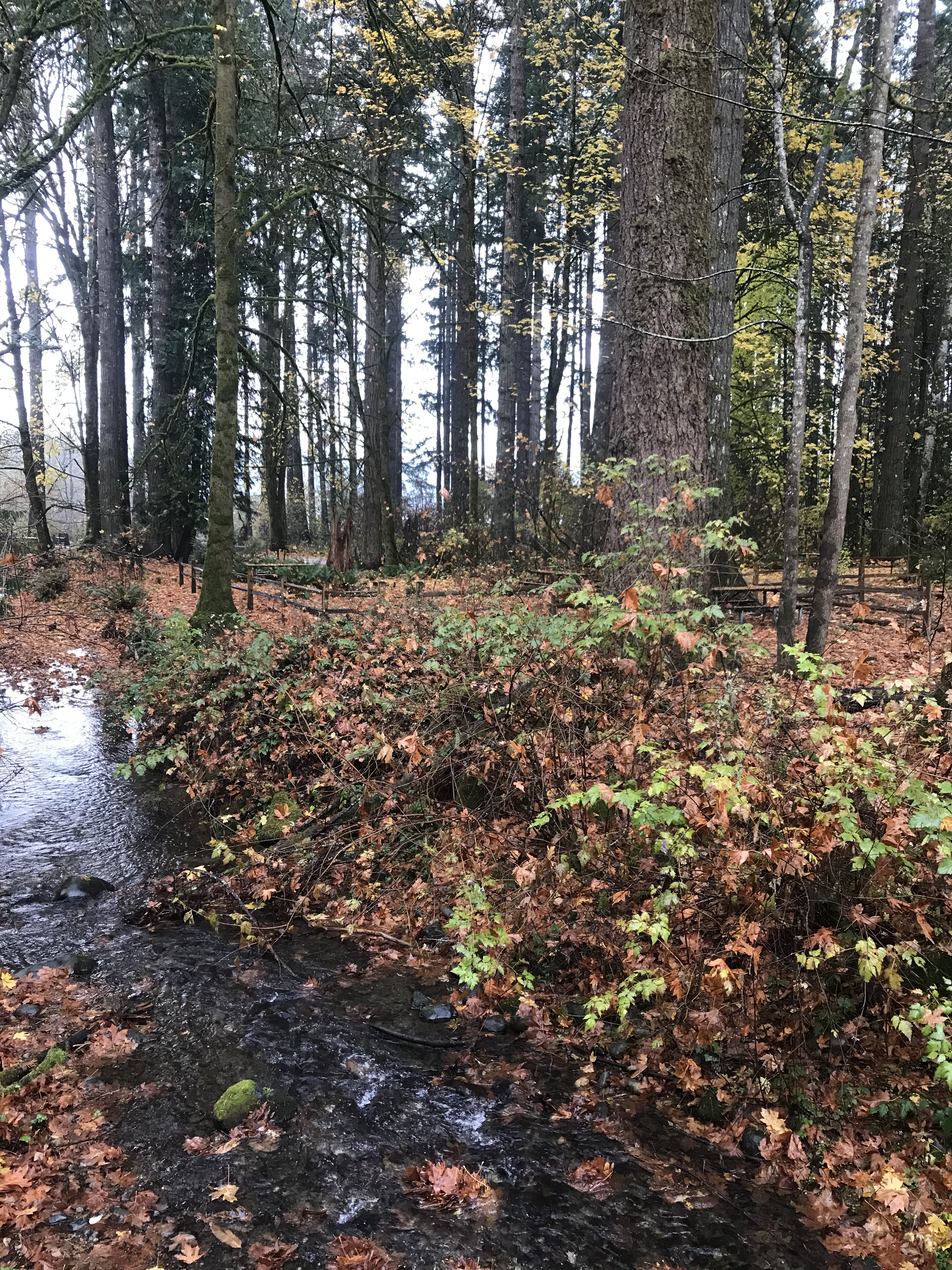 CC8AE056-B5B4-45C6-AEFD-00B6C5CCB576