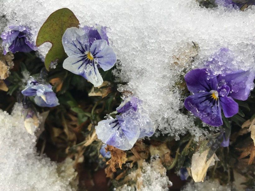 55308017-DA5A-4202-9C61-222401271D44