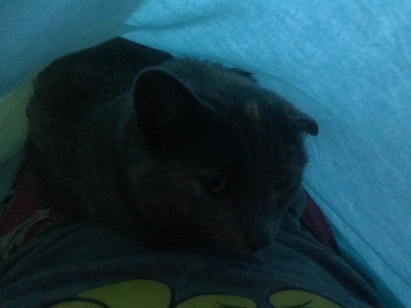 DCF3EF6A-8F1B-4774-B4DD-EA26E6F37E87