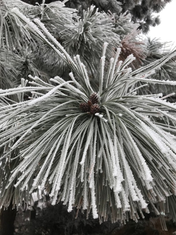 E4AD4AB4-486A-4404-BA9E-E0C374155F16