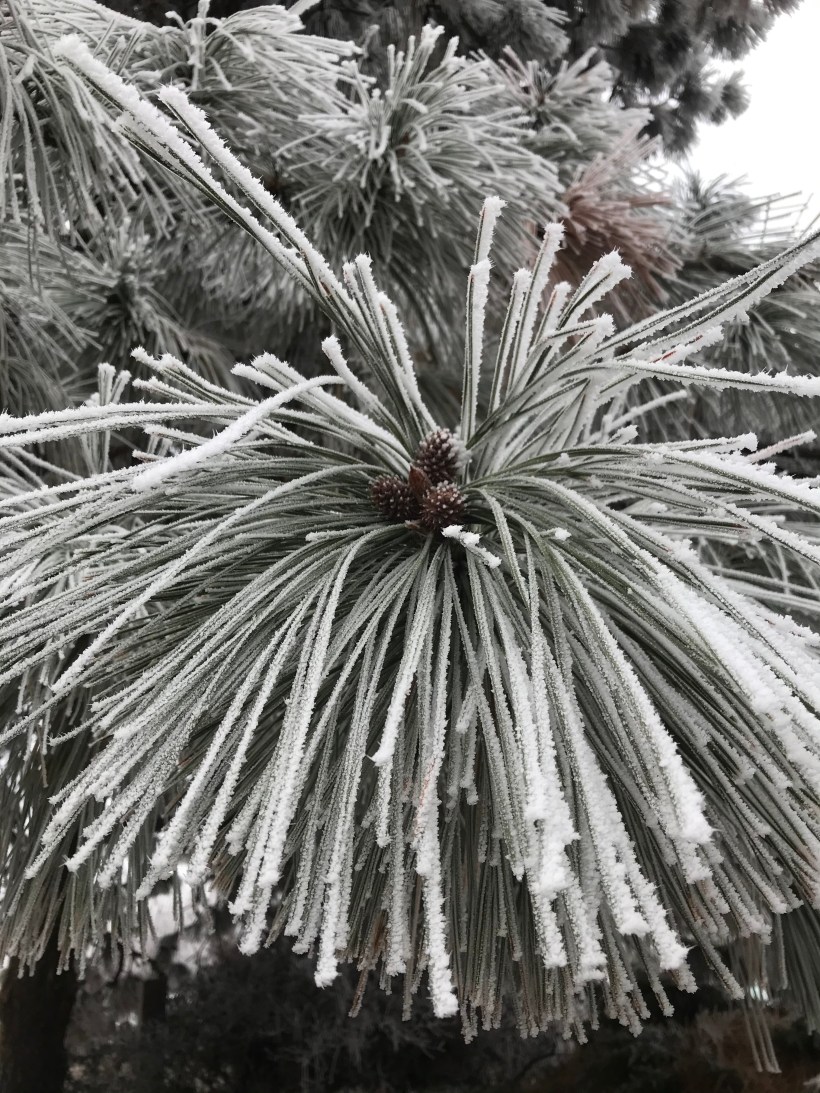 E4AD4AB4-486A-4404-BA9E-E0C374155F16