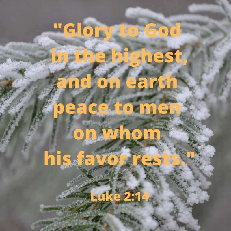 _Glory to God in the highest, and on earth peace to men on whom his favor rests._ Luke 2_14