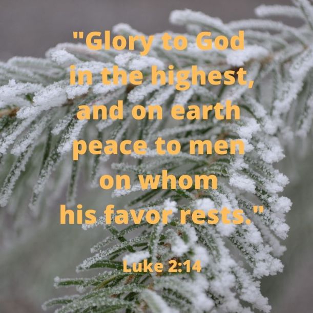 _Glory to God in the highest, and on earth peace to men on whom his favor rests._ Luke 2_14