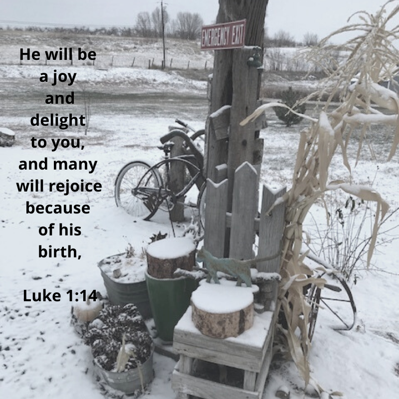 He will be a joy and delight to you, and many will rejoice because of his birth, Luke 1_14