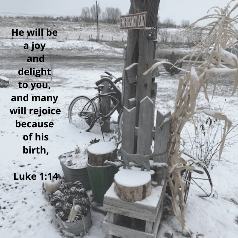 He will be a joy and delight to you, and many will rejoice because of his birth, Luke 1_14