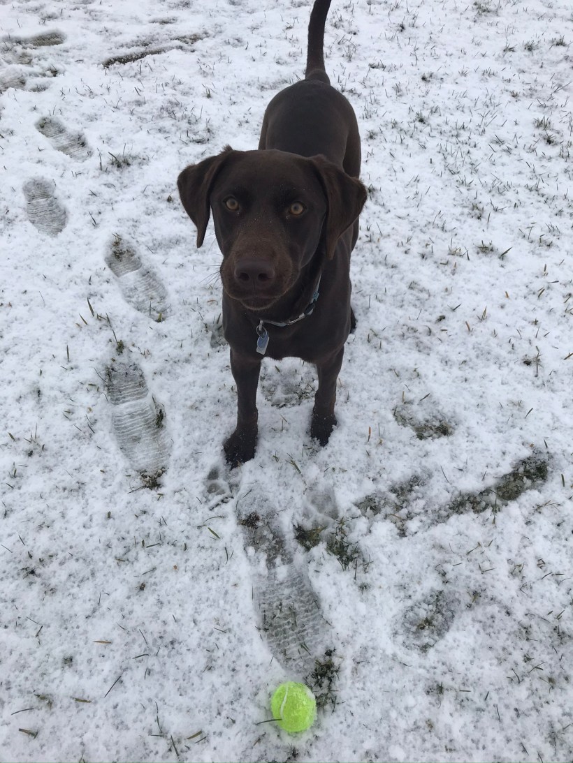 43190D28-DCBB-47B8-B5DF-5BAA66B93CE9