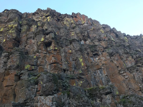 7252486F-869B-4D16-9B64-A8A790C474C4