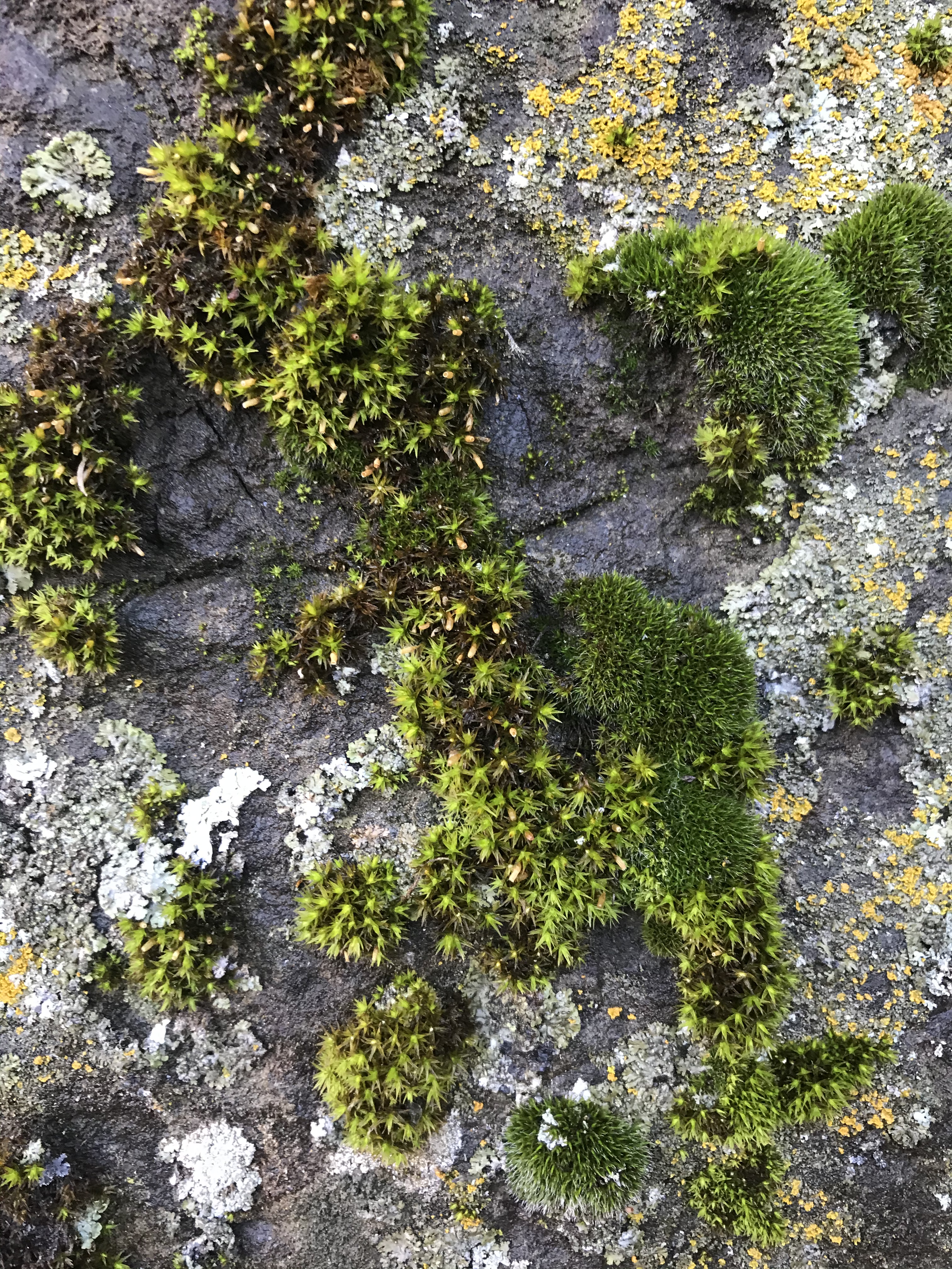 811878B1-5EF6-44AD-A4CF-C545B0E2BCC6