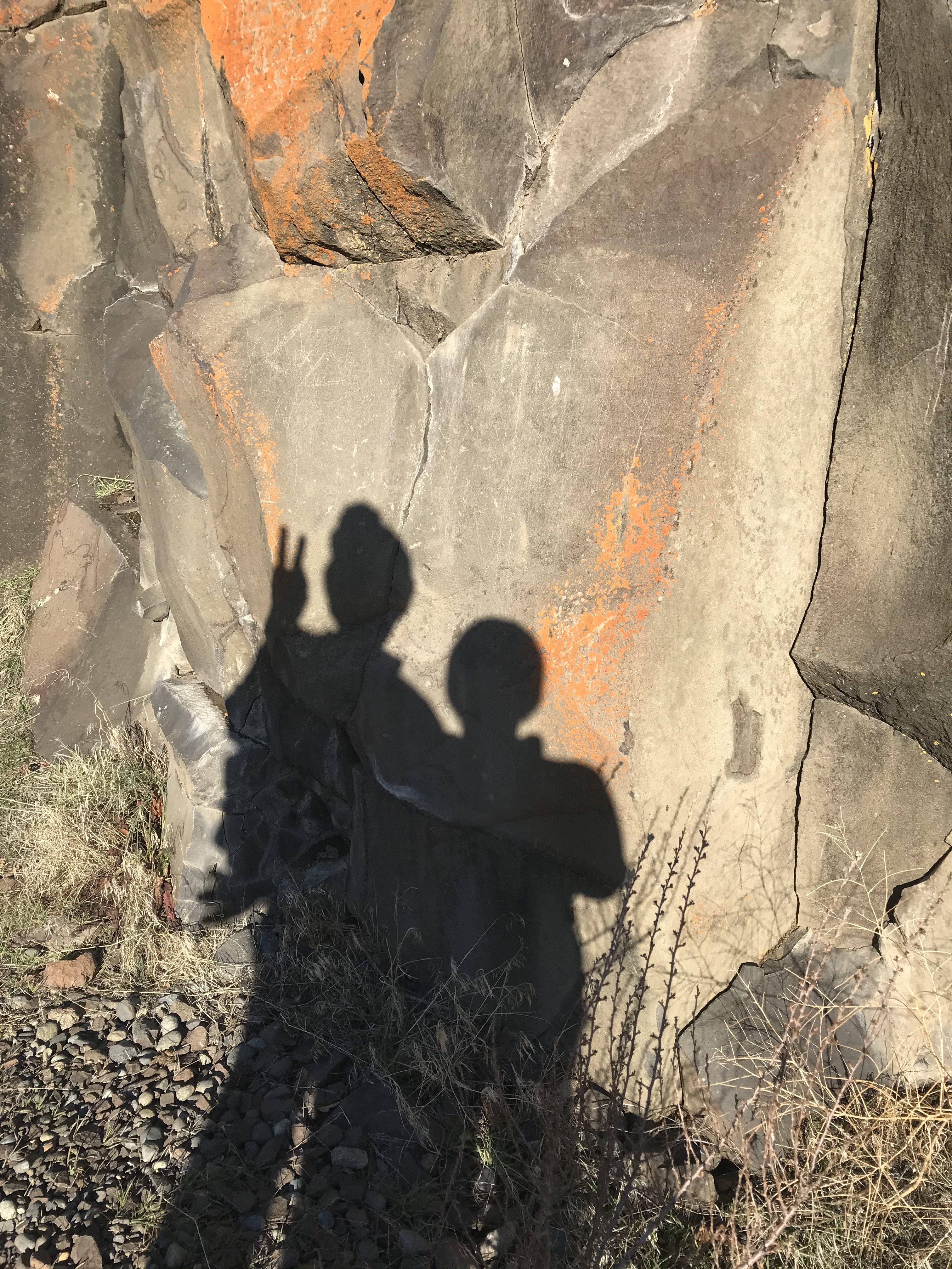 D00D038F-AAD0-497C-8B99-C6586543B791